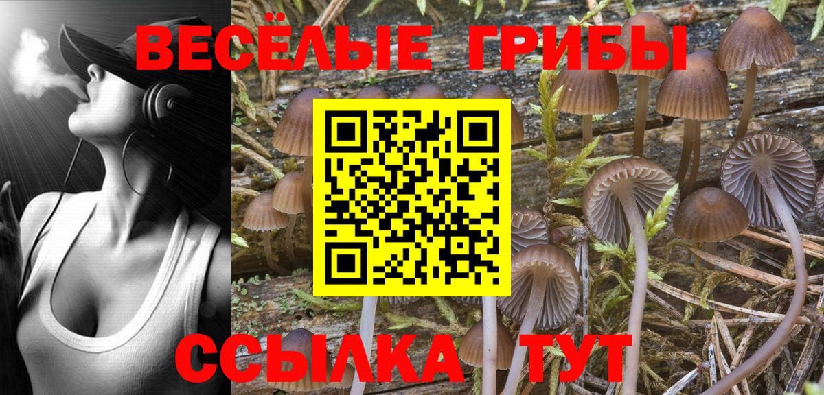 Биробиджан  Галлюциногенные грибы MAGIC MUSHROOMS  Вход с VPN 